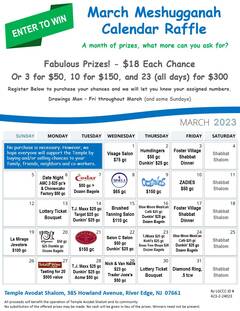 		                                		                                    <a href="https://www.avodatshalom.net/event/march-meshugganah-calendar-raffle.html"
		                                    	target="_blank">
		                                		                                <span class="slider_title">
		                                    March Meshugganah Calendar Raffle!		                                </span>
		                                		                                </a>
		                                		                                
		                                		                            	                            	
		                            <span class="slider_description">A month of prizes! What more can you ask for?</span>
		                            		                            		                            